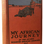 Product image: MY AFRICAN JOURNEY