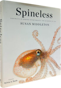 Product image: SPINELESS: Portraits of Marine Invertebrates, the Backbone of Life