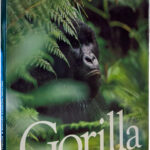 Product image: GORILLA: Struggle for Survival in the Virungas