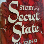 Product image: STORY OF A SECRET STATE